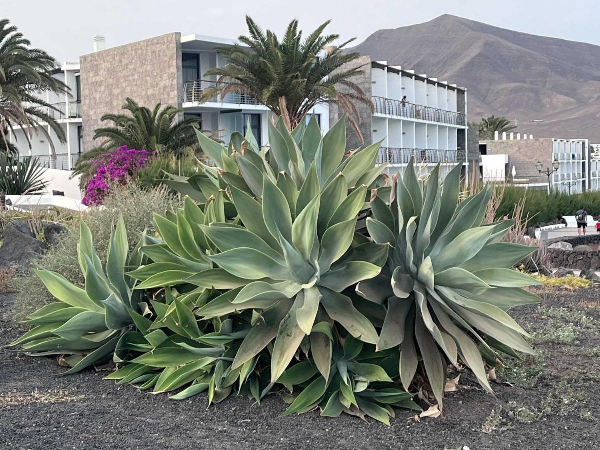 Villa Ariana - Playa Blanca Exteriör bild